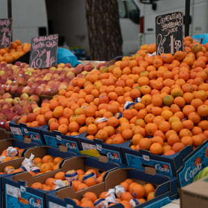 Photo de couverture Ronda del Sur Marché poste 240 : Frutas Bemúdez