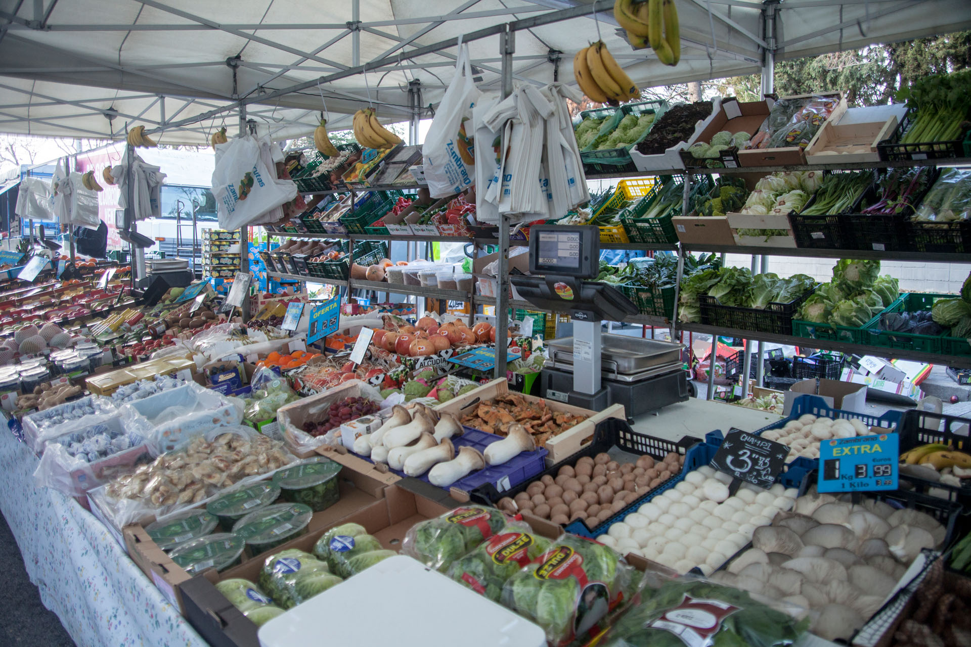 Foto de capa Mercado Villaverde Alto, posição 8: Frutas Zambrano