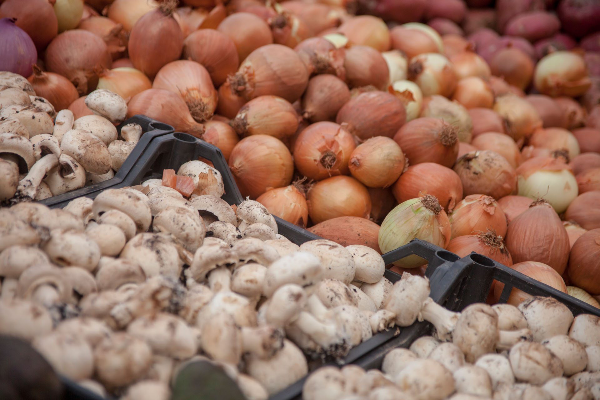 Foto de capa Mercado Villaverde Alto, posição 23: Frutaria