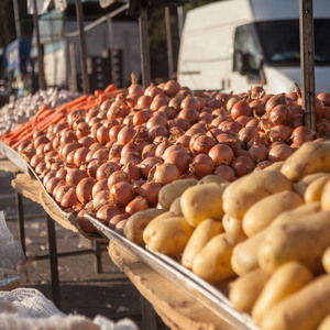 Titelbild Markt Villaverde Alto, Position 49: Gemüsehändler