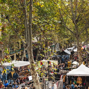 Foto de portada El Rastro de Madrid