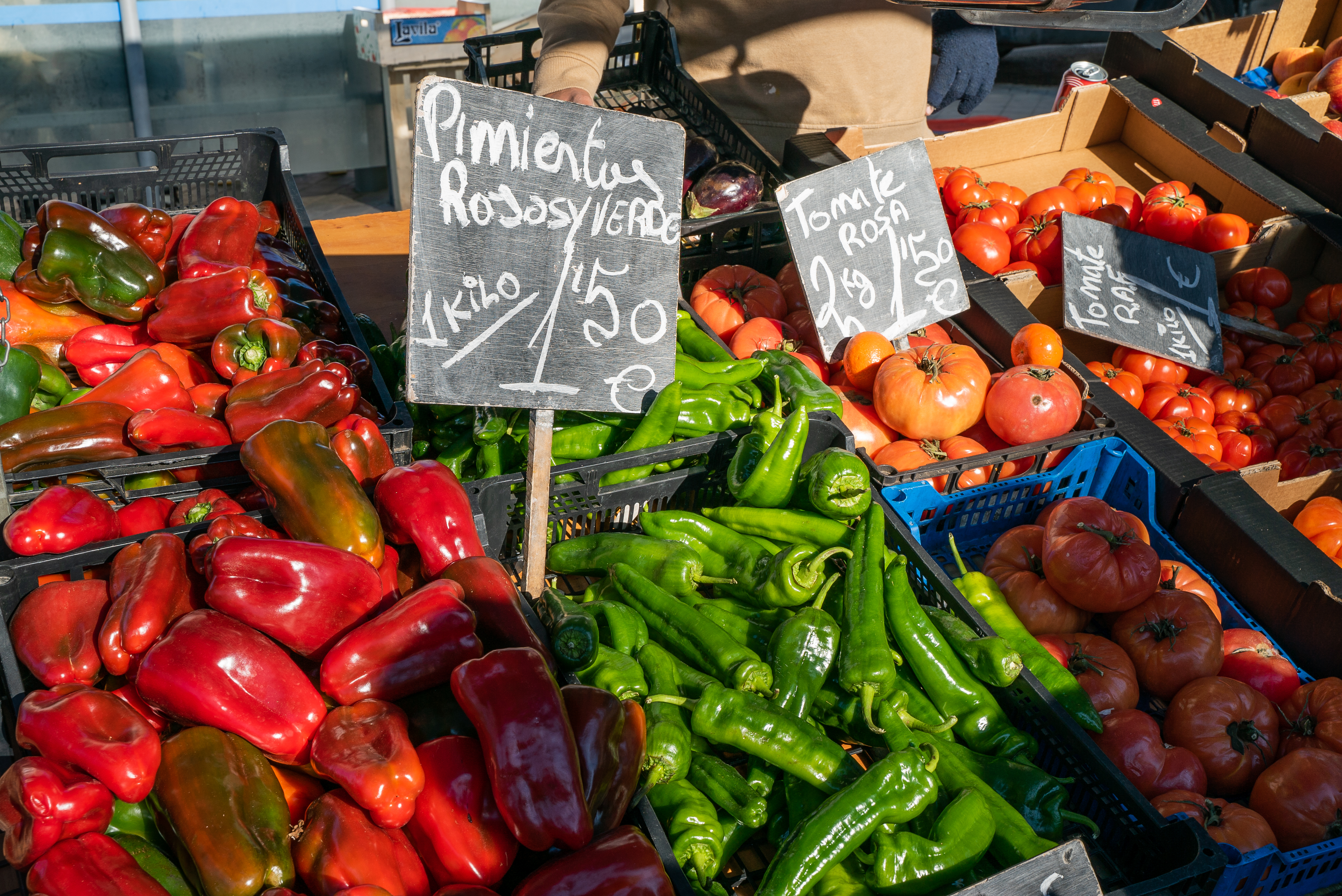 Foto de capa Mercado Gandhi Stand 9: Samuel Carmona
