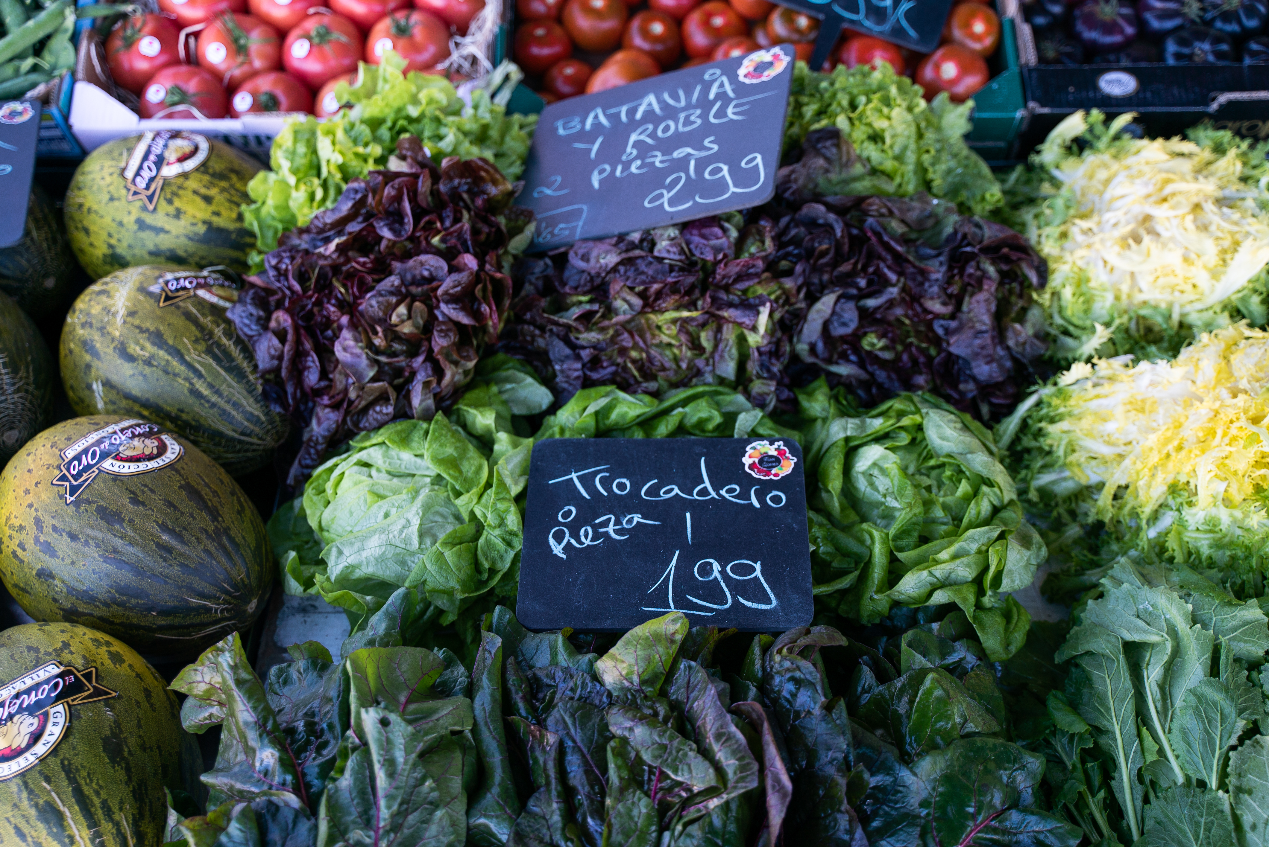 Photo de couverture Positions 23 et 24 sur le marché d'Ayerbe : Francisco Javier Cáceres