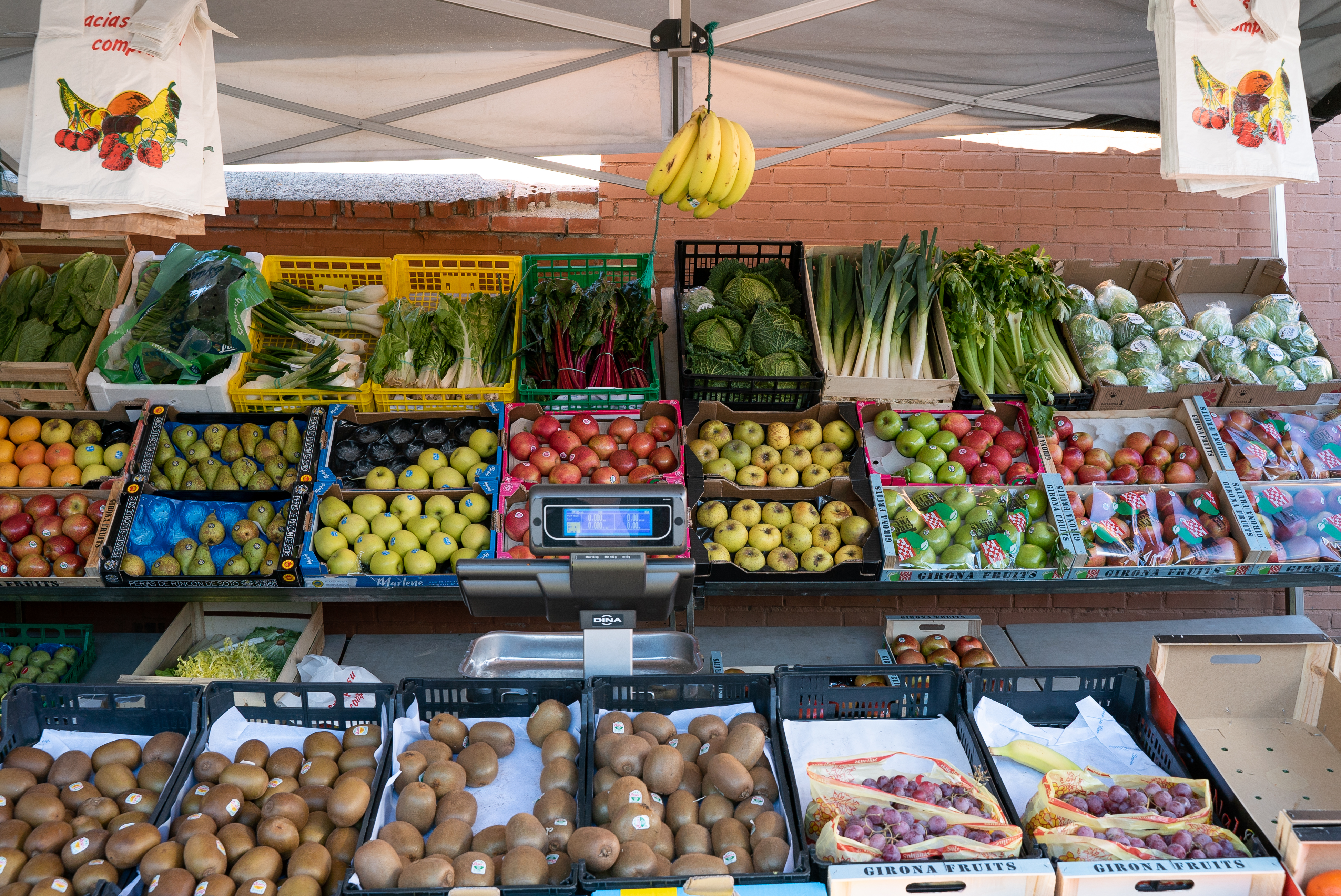 Photo de couverture Alcorisa-Silvano Market Post 10 et 11: María Gutiérrez
