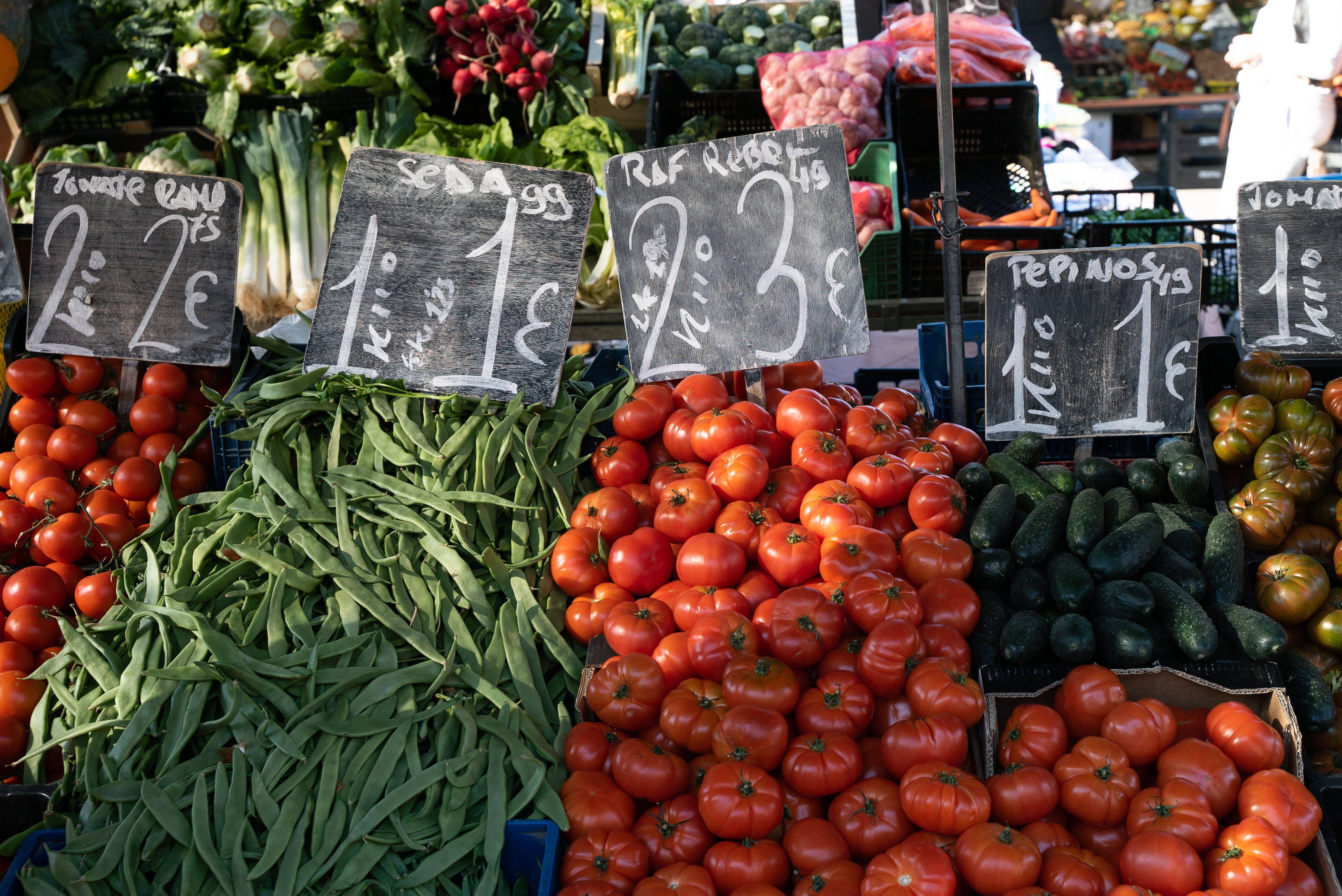 Photo de couverture Marché d'Alcorisa-Silvano Poste 34 et 44 : Juan Tarraga