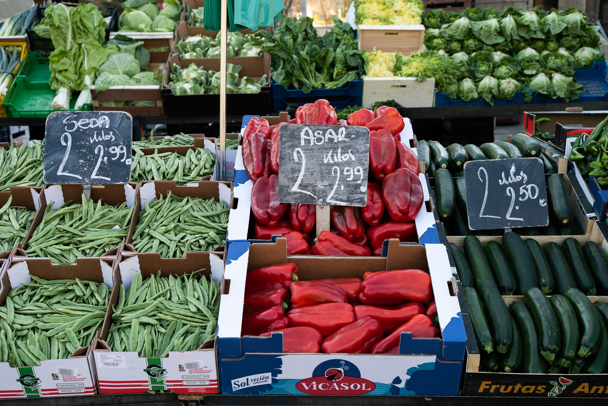 Foto de capa Posição 11 no mercado de Santa Ana: Dani Holgin
