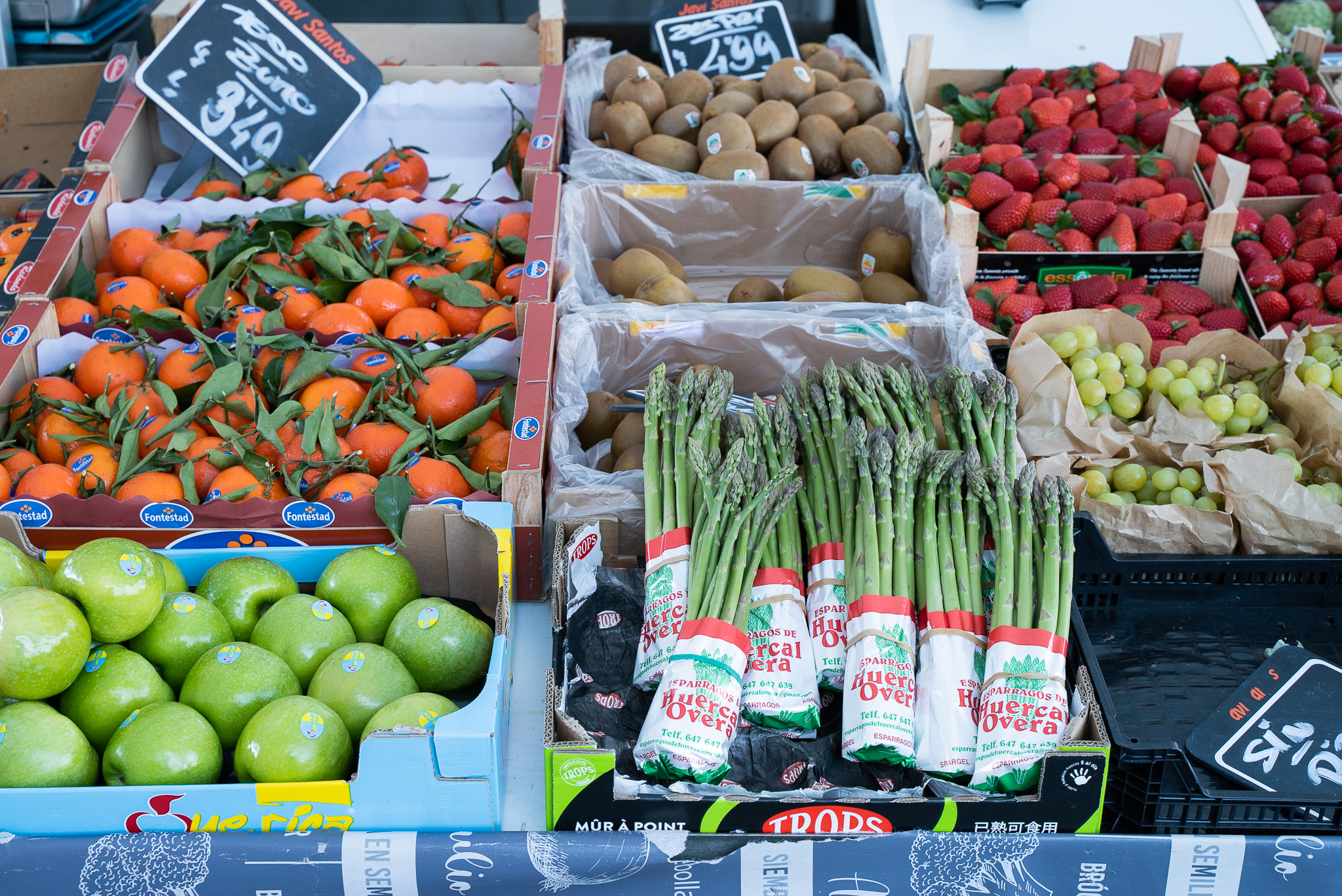 Foto de capa Posição 33 no mercado de Santa Ana: Javi Santos