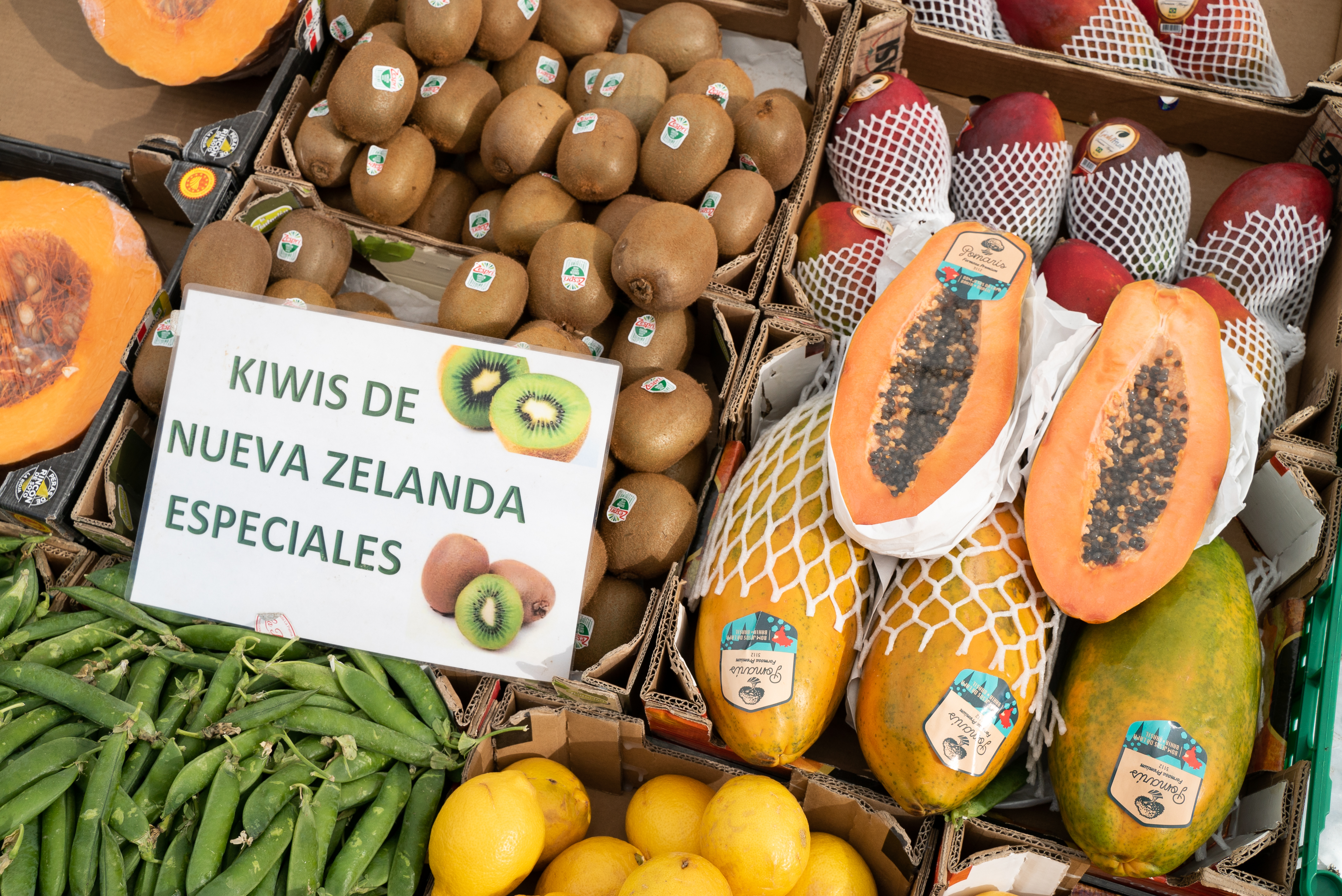 Titelbild Tetuán Marktposition 5 und 6: José Romero