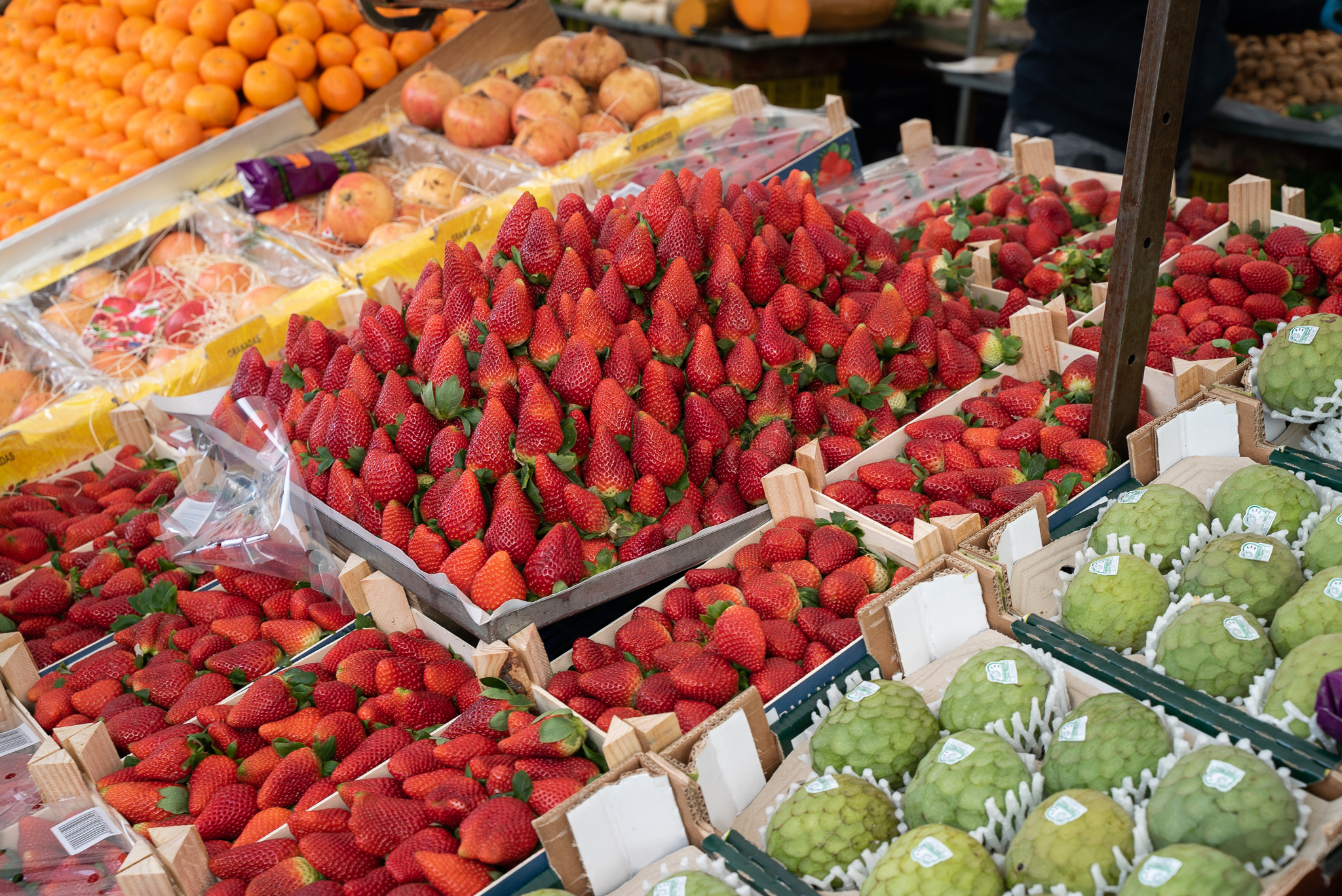 Photo de couverture Positions 31 et 32 sur le marché d'Uva-Hortaleza : Blan Fruber