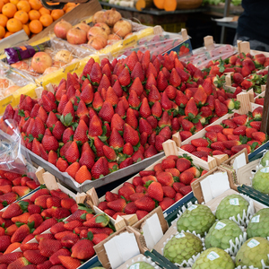 Foto de capa Mercado de Uvas e Legumes Stand 31 e 32: Blan Fruber