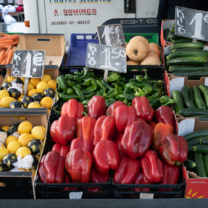 Foto de capa Posição 81 no mercado de uvas e vegetais: Noemí Jiménez