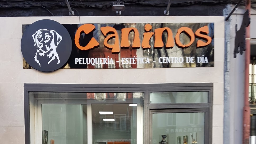 Foto de capa Tratamento Canino