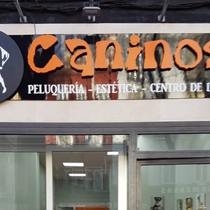 Foto de portada Caninos Peluquería