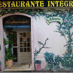 Foto de portada Restaurante Artemisa Sol-Gran Vía