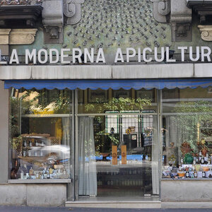 Foto de portada La Moderna Apicultura